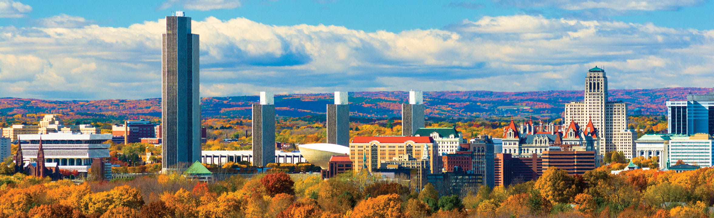 Photograph of Albany NY during the fall.