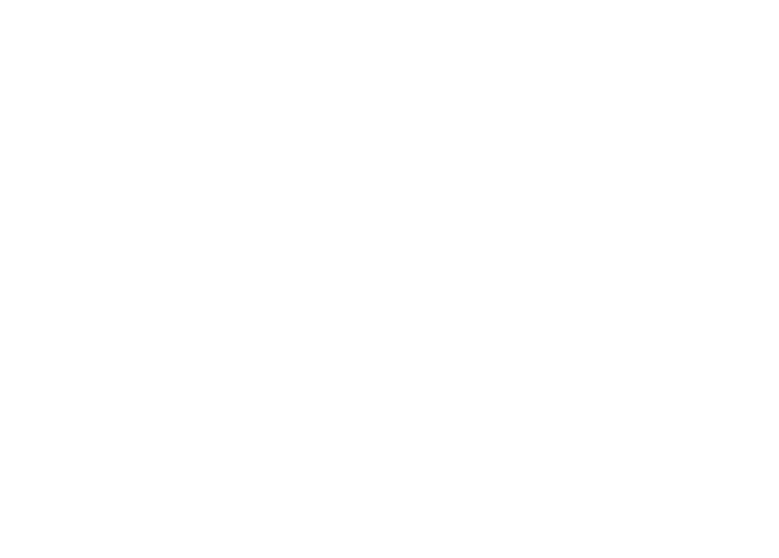 Artistic Rendering of NYS